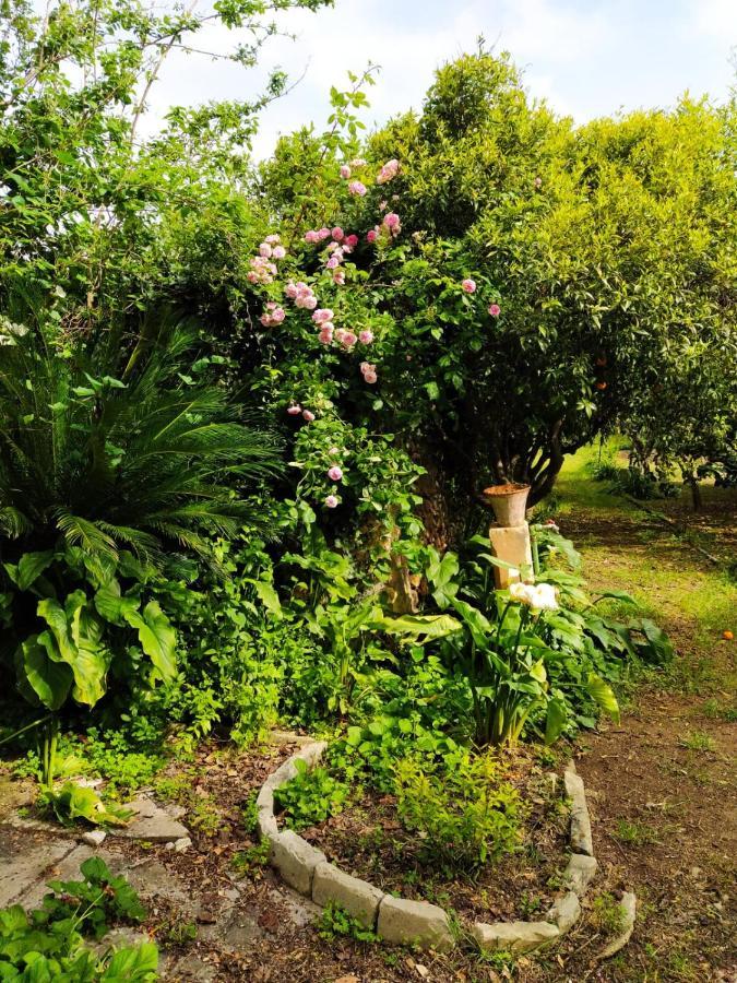 Bed and Breakfast Aricelle Speziali Specchia Gallone Экстерьер фото